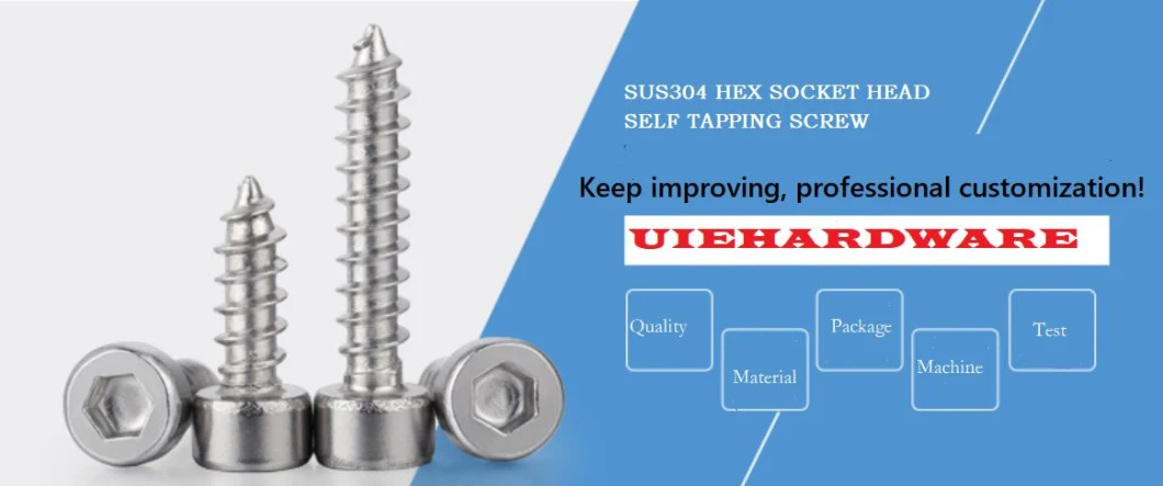 Stainless Steel Screw Special Screw Non-Standard Screw Hex Socket Cap Screw Self Tapping Screw Fastener