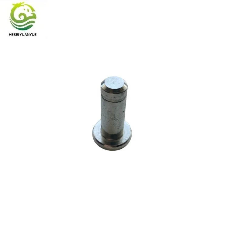 Custom Hollow Rivet Fastener Automotive Engine Parts Non-Standard Automotive Fastener