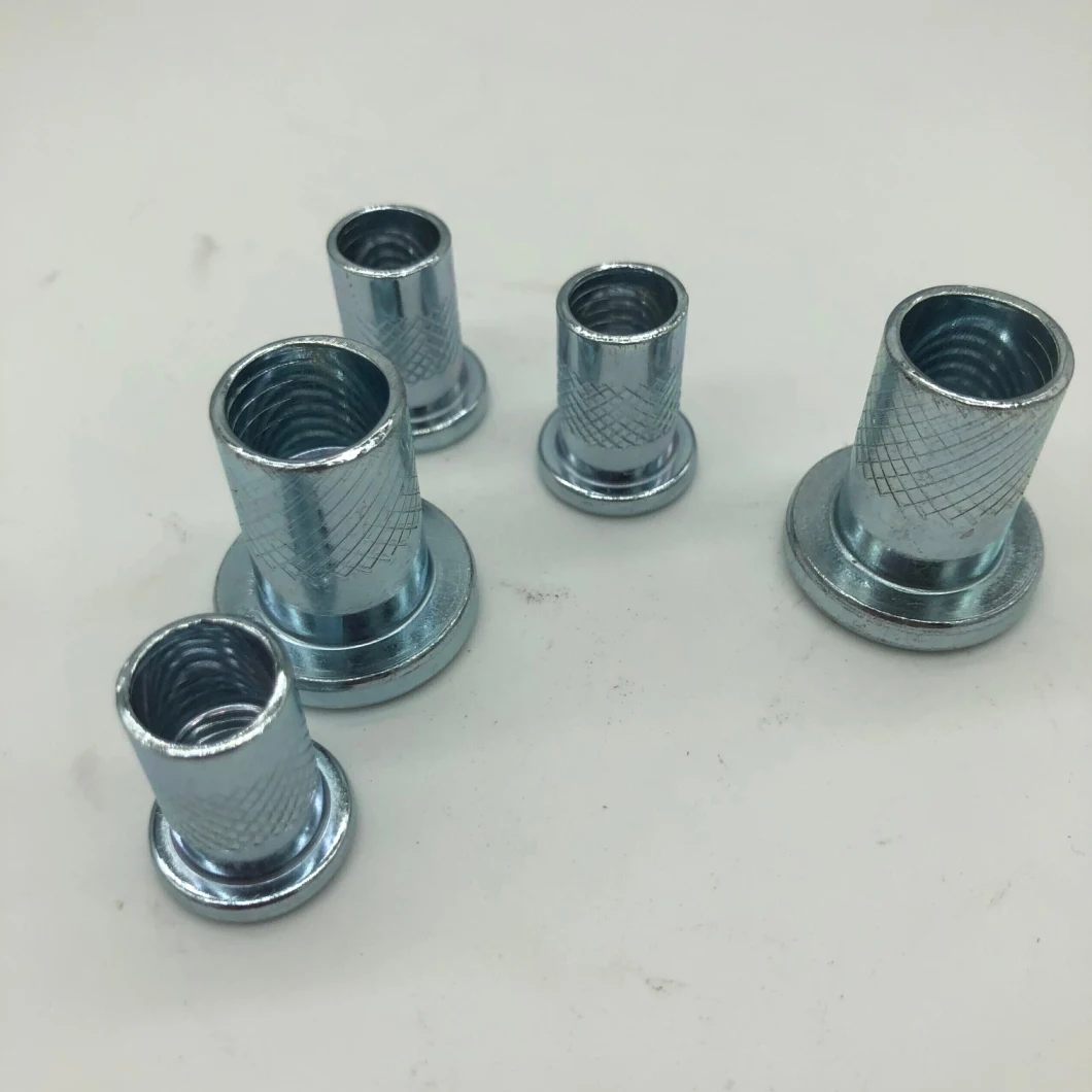 M20 M6 M12 Titanium Special M2 Flat Head Stainless Steel Custom Brass M8 Blind Riveting Rivet Nut